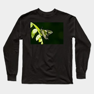 Tiger In The Woods Long Sleeve T-Shirt